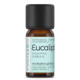 aceite-esencial-eucalipto