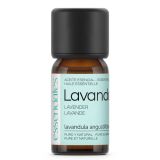 aceite-esencial-lavanda